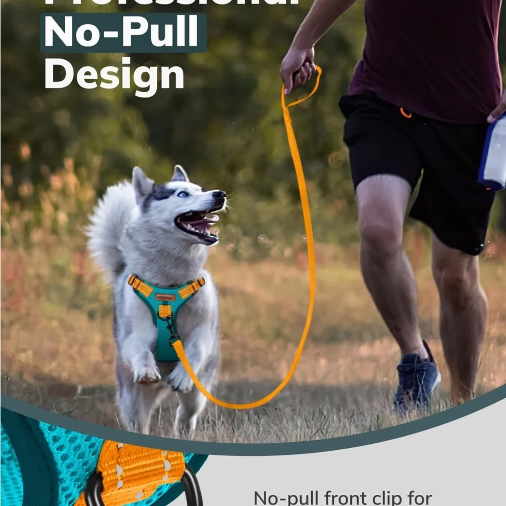 Brand New Midog Dog Harness, No Pull Pet Harness and Leash - Large